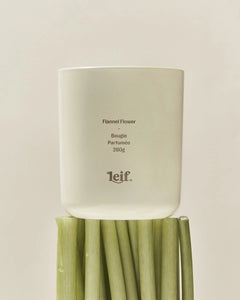 Leif 'Flannel Flower Candle' 280g