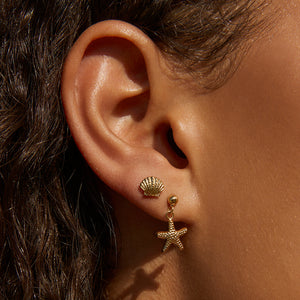 Arms Of Eve 'Shelli Gold Studs'