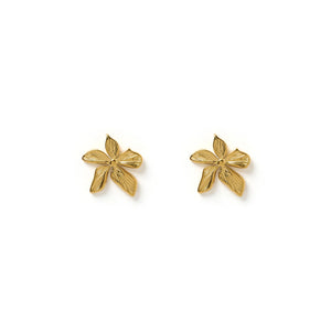 Arms Of Eve 'Lily Gold Earrings'